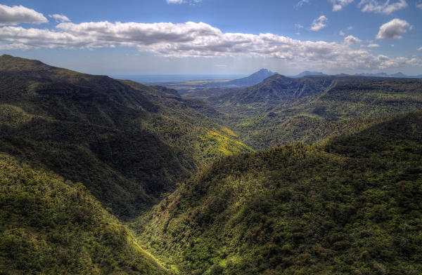 Black River Gorge
